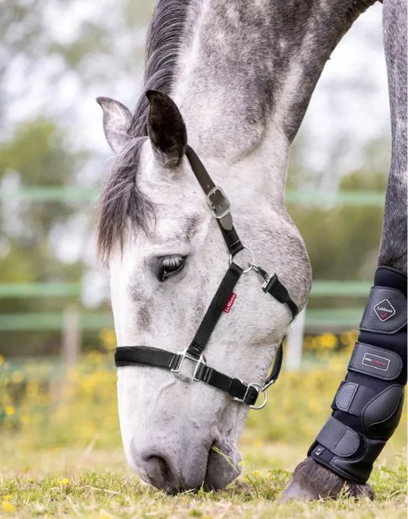 LeMieux Breakaway Halter Black